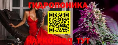 гидропоника Аргун