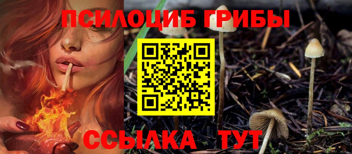 закладка  Вход с VPN  Белорецк  Галлюциногенные грибы мицелий 
